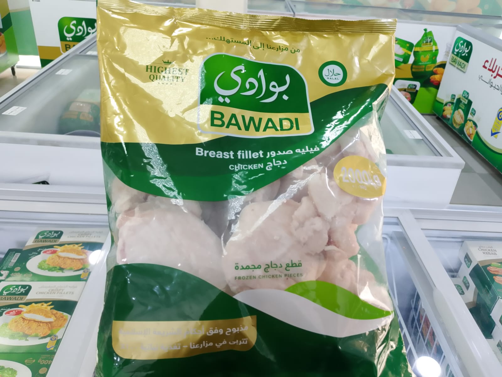 مق (12)